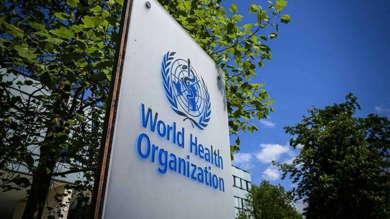 ВОЗ: Снижен риск вируса птичьего гриппа H5N1 после его обнаружения у скота в США