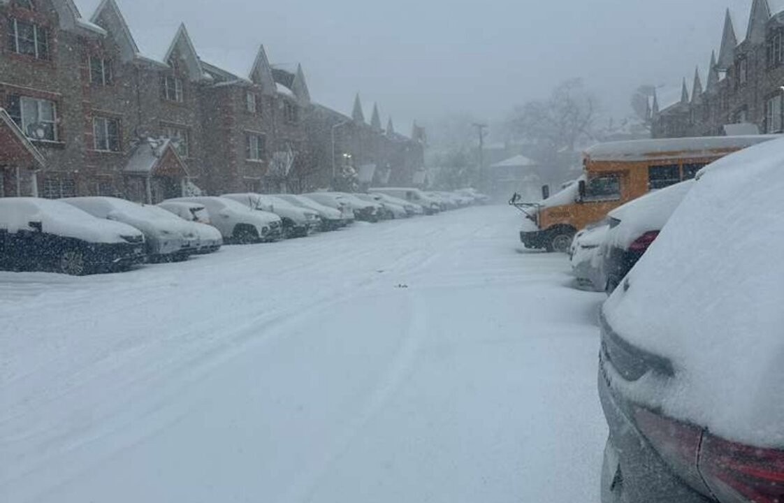 Arctic Cold in the US: Fatalities and Energy Collapse