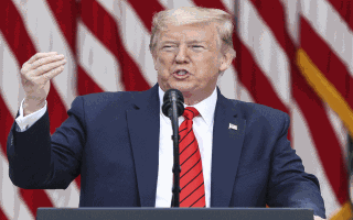 Трамп планирует указания по гражданству и гендеру