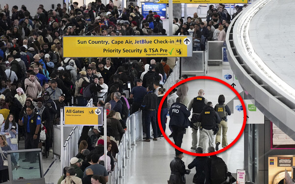 ICE Agent Deployment in U.S. Airports and Criticism for Excessive Force