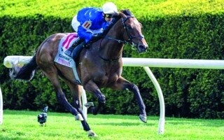 Лошади Godolphin соревнуются на ипподроме Сарагога