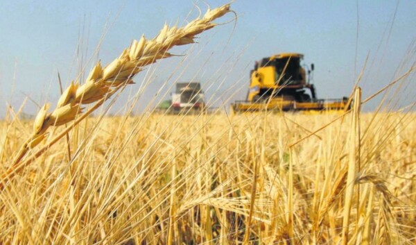 Global Economic Growth Expected to Slow
