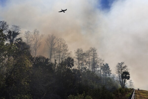 Fire of over 10,000 hectares spreads uncontrollably in the Everglades in Florida
