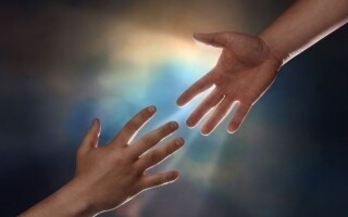 Voluntarios reducen la pérdida