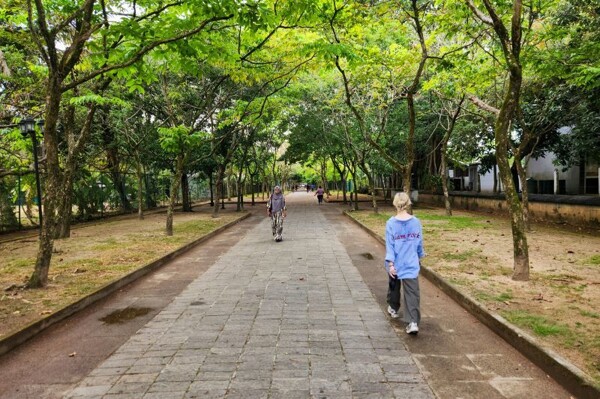 Benefits of Counting Steps: Explaining the Ideal Number