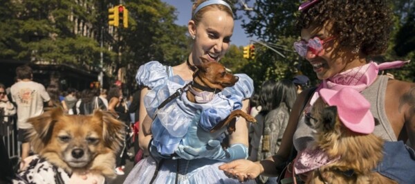 Unexpectedly Warm Halloween Temperatures