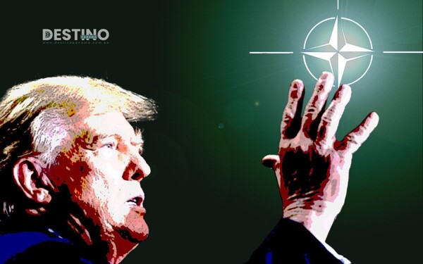 Трамп и НАТО: напряженные отношения