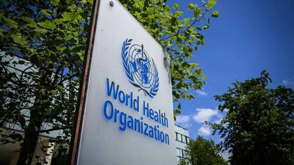 ВОЗ: Снижен риск вируса птичьего гриппа H5N1 после его обнаружения у скота в США