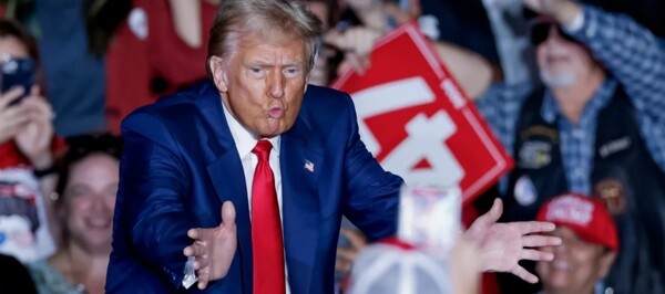 Effects of Voter Purges on Naturalized Immigrants