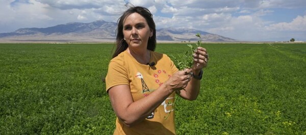 Immigration Policies Impact Economy in Nevada