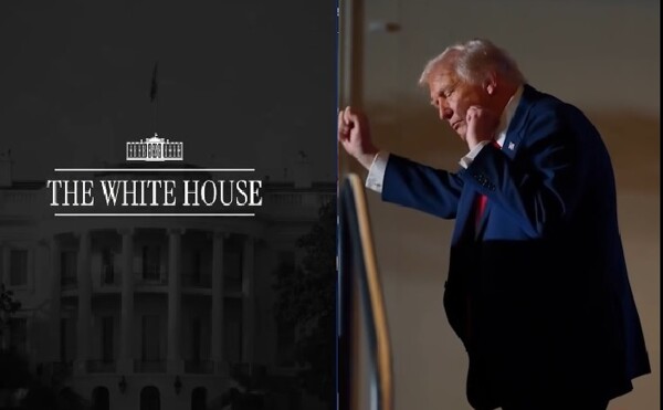 White House Dances to 'Gasolina' on TikTok