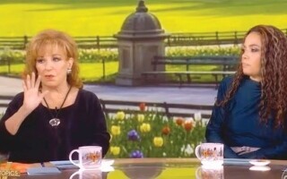 The View Co-Hosts Accuse US Vice President's Wife of Abandoning Principles for Power