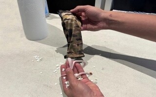 Охрана в аэропорту Майами обнаружила змей в брюках пассажира