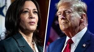 Стратегия пограничной стены Трампа сталкивается с backlash