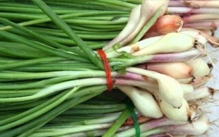 Польза для здоровья лука-порея: питательное и вкусное овощ