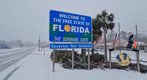 Historic Snowfall in New Orleans