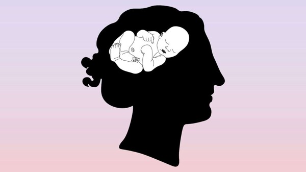 Brain Transformations in Pregnant Women