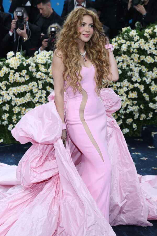 Stars Shine at the Met Gala 2023