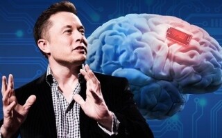 Neuralink сталкивается с вызовами в технологии имплантации мозга