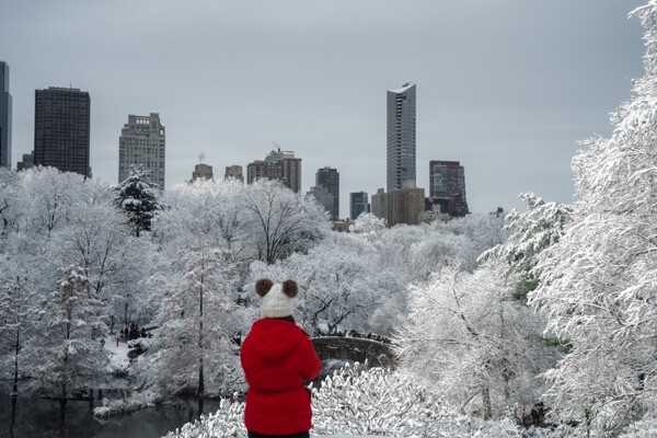 Winter Storm Hits New York