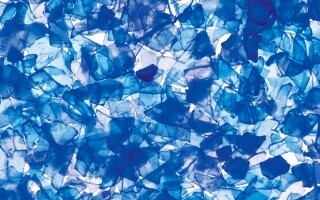 Инновационные исследования превращают пластиковые отходы в пищу